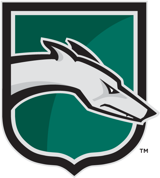 Loyola-Maryland Greyhounds 2002-Pres Alternate Logo iron on transfers for T-shirts